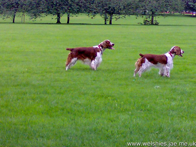 2009-07-19 23a09.jpg